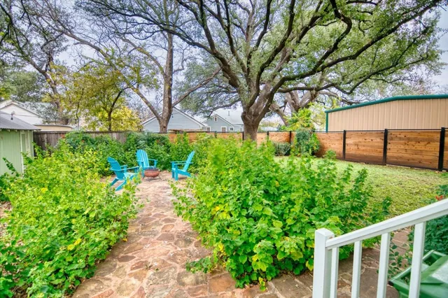 a view of a backyard with potted plants and large trees
