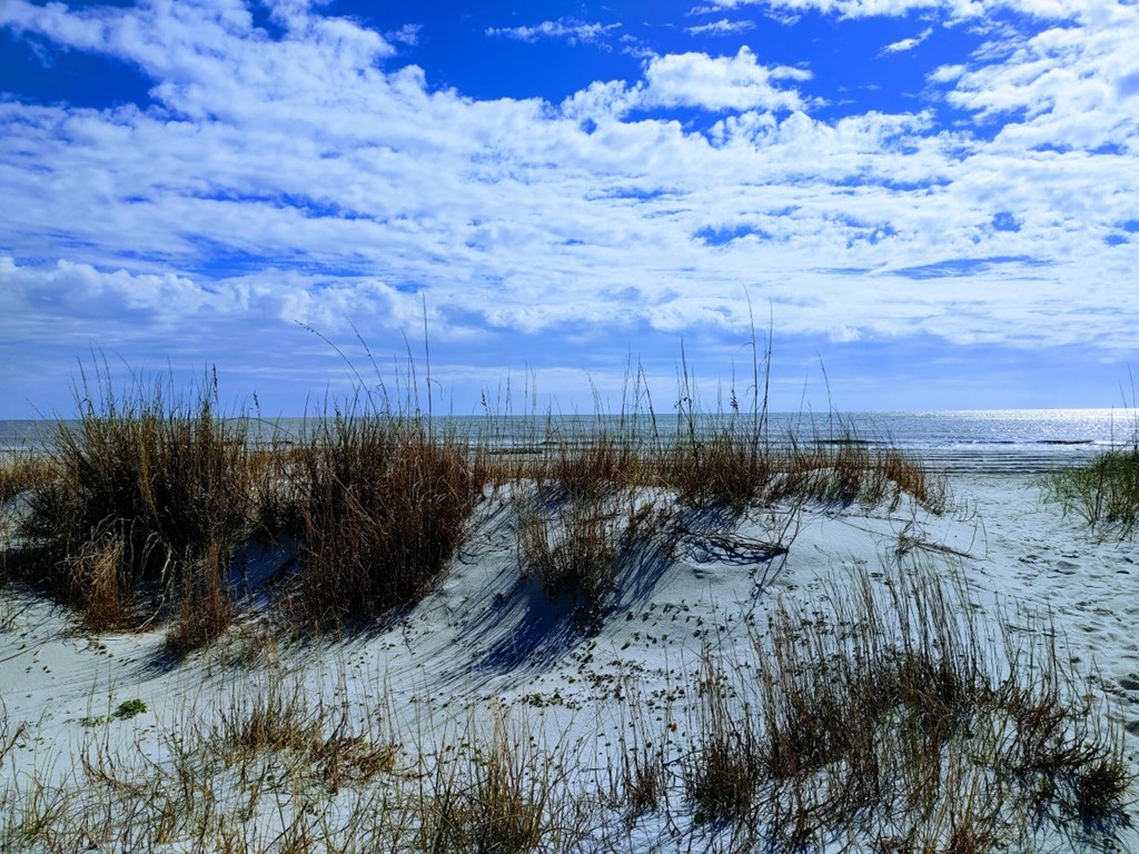 131 McCosh Mill Road Port St. Joe, FL 32456 - Photo 33 of 41 Gallery Image 33
