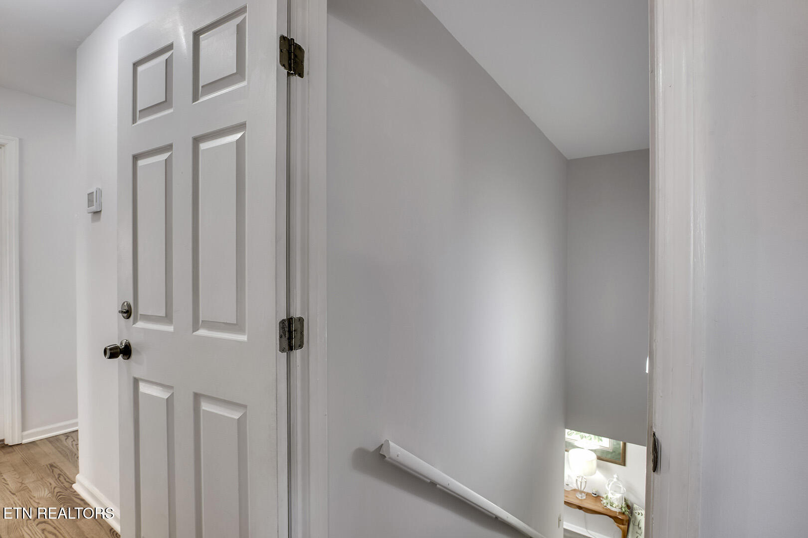 146 Daleyuhski Way Loudon, TN 37774 - Photo 35 of 60 35_146 Daleyuhski Way_StairsDown