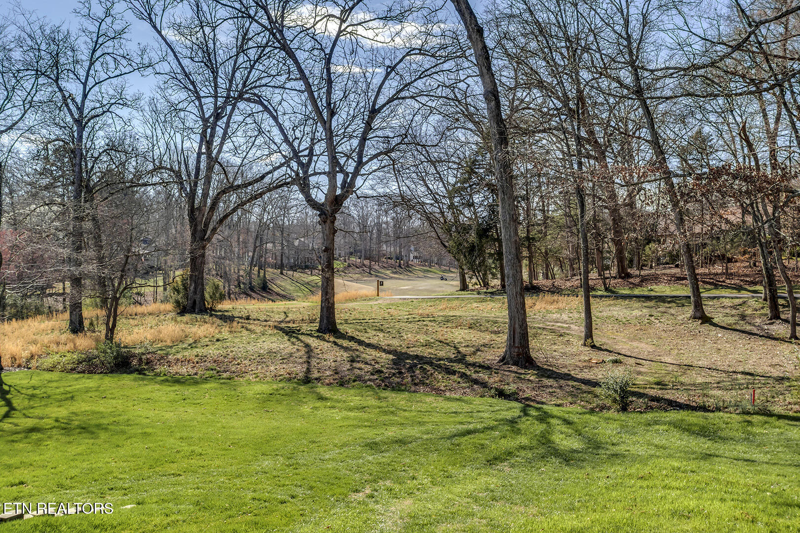 146 Daleyuhski Way Loudon, TN 37774 - Photo 52 of 60 52_146 Daleyuhski Way_LowerDeckGolfView