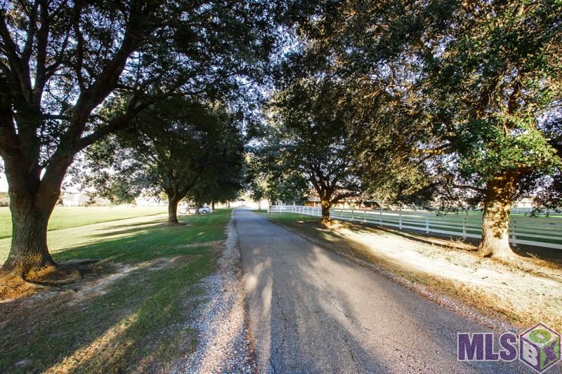 18434 Manchac Acres Road Prairieville, LA 70769 - Photo 2 of 32 Gallery Image 2