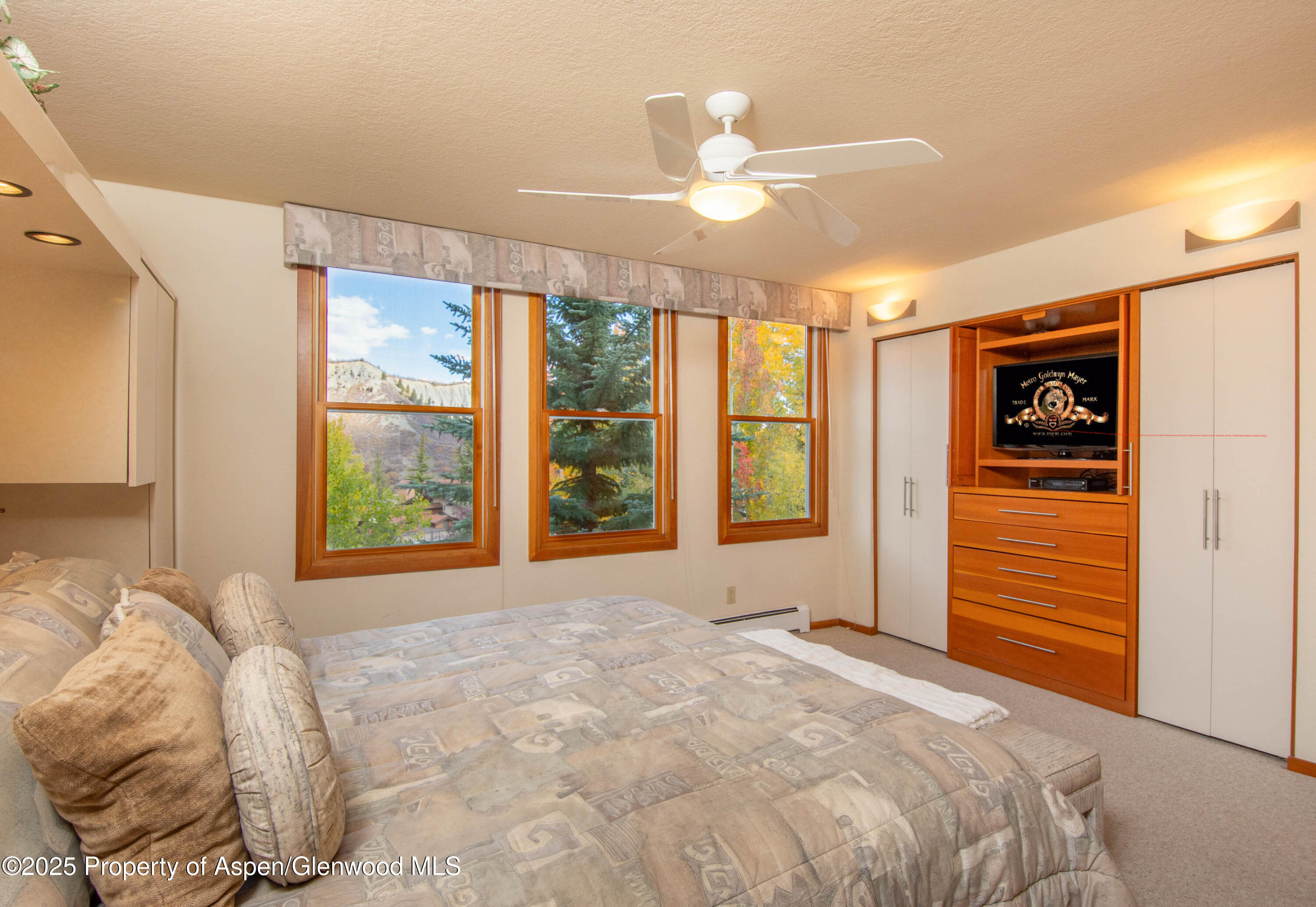 425 Wood Road, Unit 10 Snowmass Village, CO 81615 - Photo 12 of 29 MB2