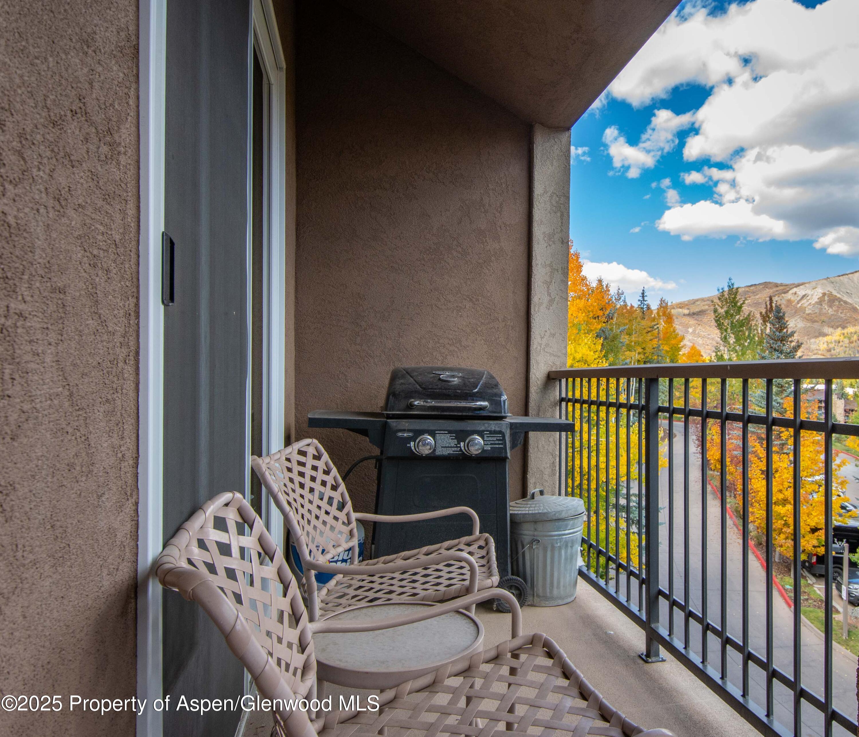 425 Wood Road, Unit 10 Snowmass Village, CO 81615 - Photo 19 of 29 DSC_5836