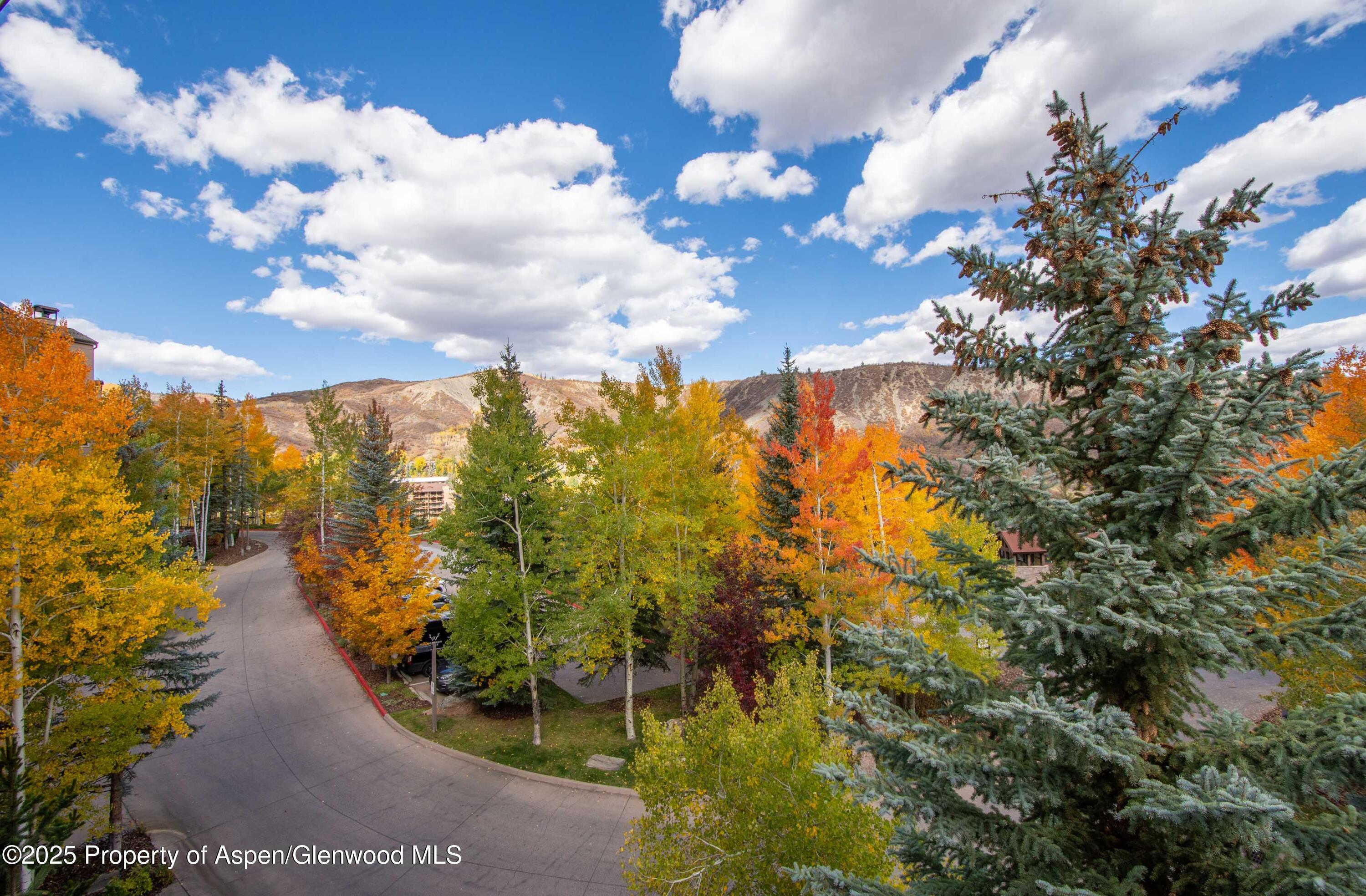 425 Wood Road, Unit 10 Snowmass Village, CO 81615 - Photo 23 of 29 DSC_5837