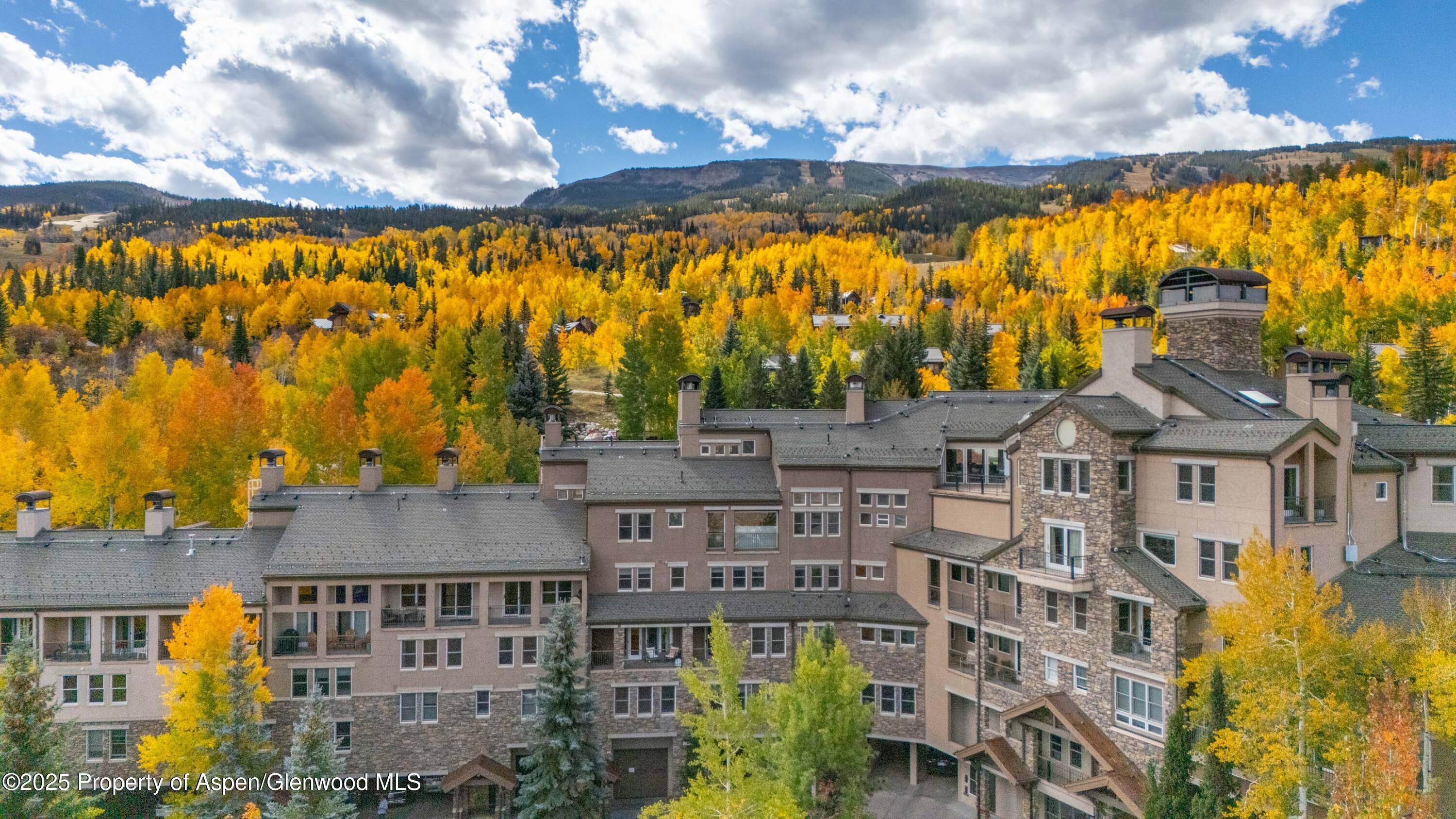 425 Wood Road, Unit 10 Snowmass Village, CO 81615 - Photo 24 of 29 DJI_20251003112349_0045_D