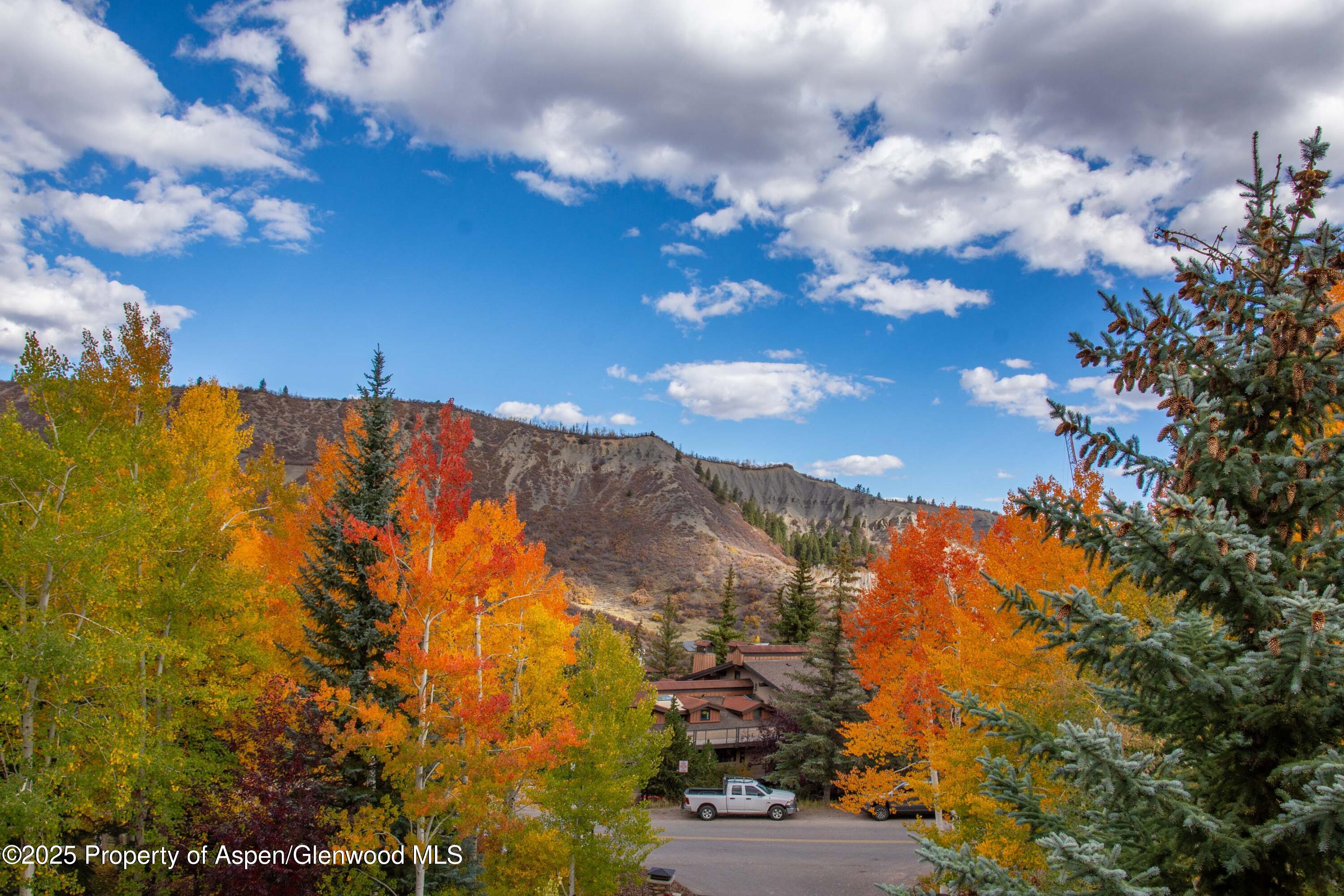 425 Wood Road, Unit 10 Snowmass Village, CO 81615 - Photo 28 of 29 DSC_5778
