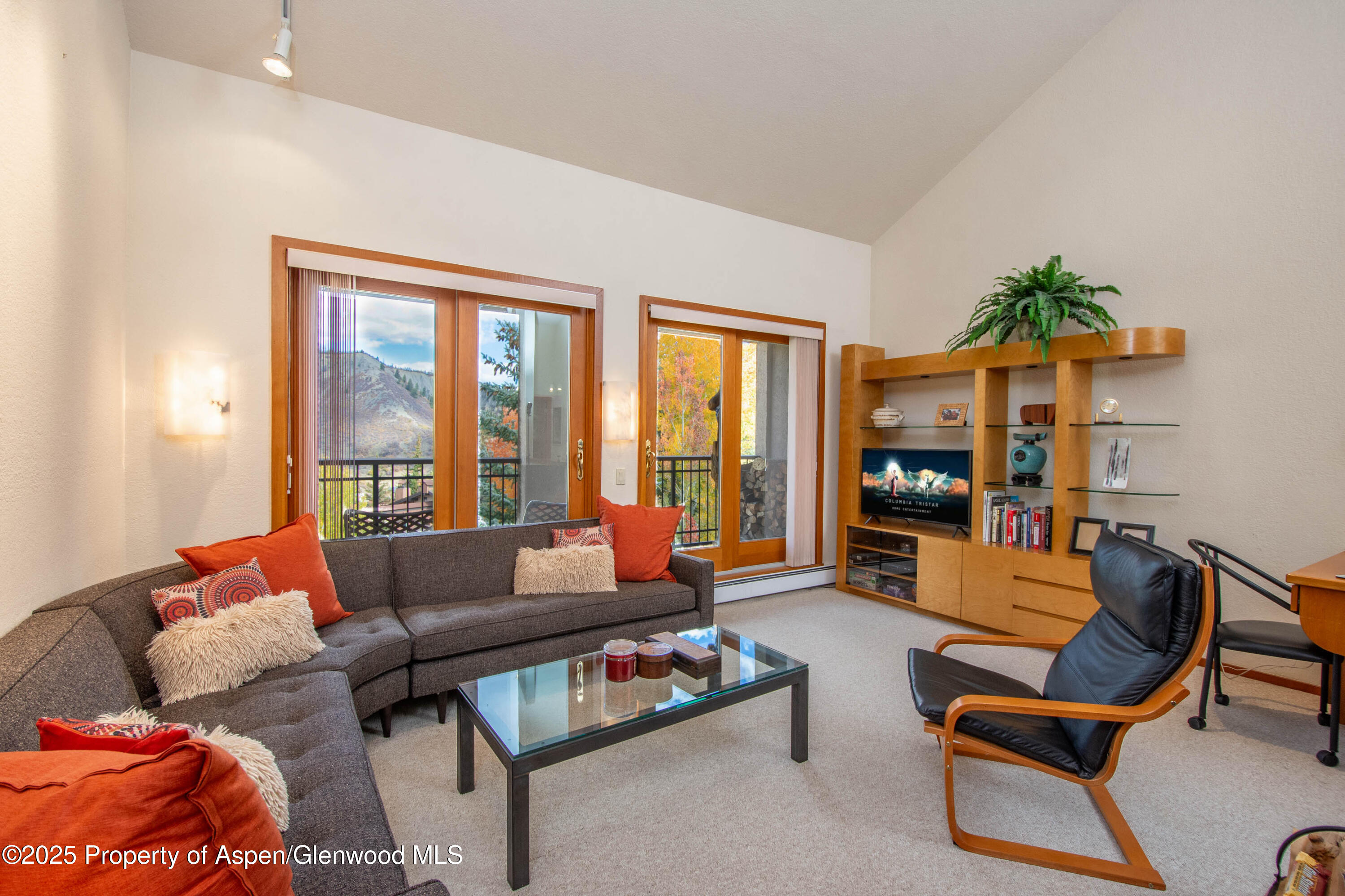 425 Wood Road, Unit 10 Snowmass Village, CO 81615 - Photo 3 of 29 Liv1