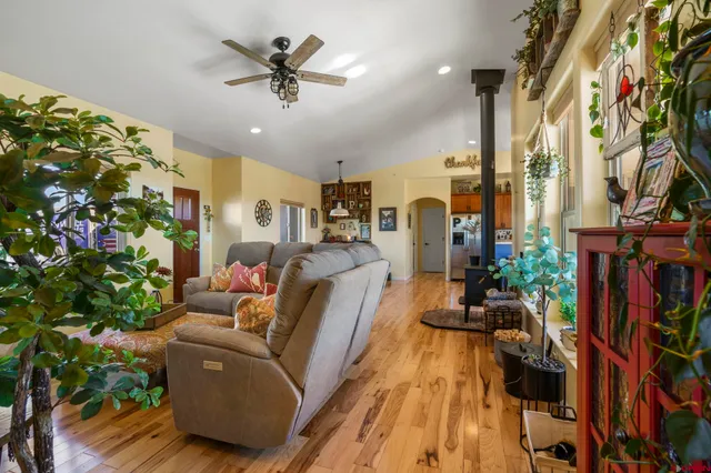 a living room with furniture and a potted plant