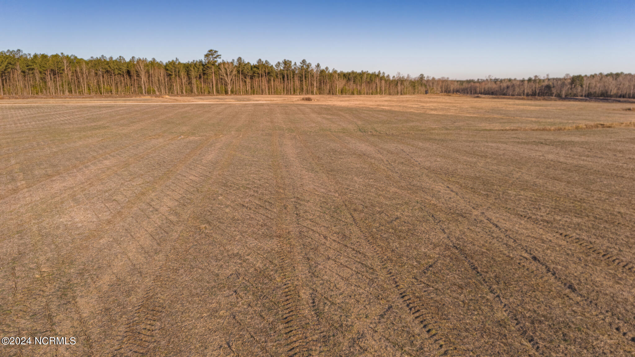 0 Smith Road Gates, NC 27937 - Photo 12 of 22 69 Acres Smith Rd-27