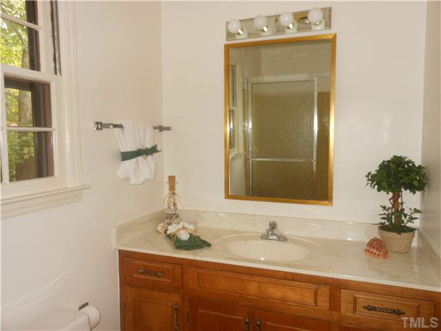 3605 Ranlo Drive Raleigh, NC 27612 - Photo 14 of 19 Master Bath/Spa