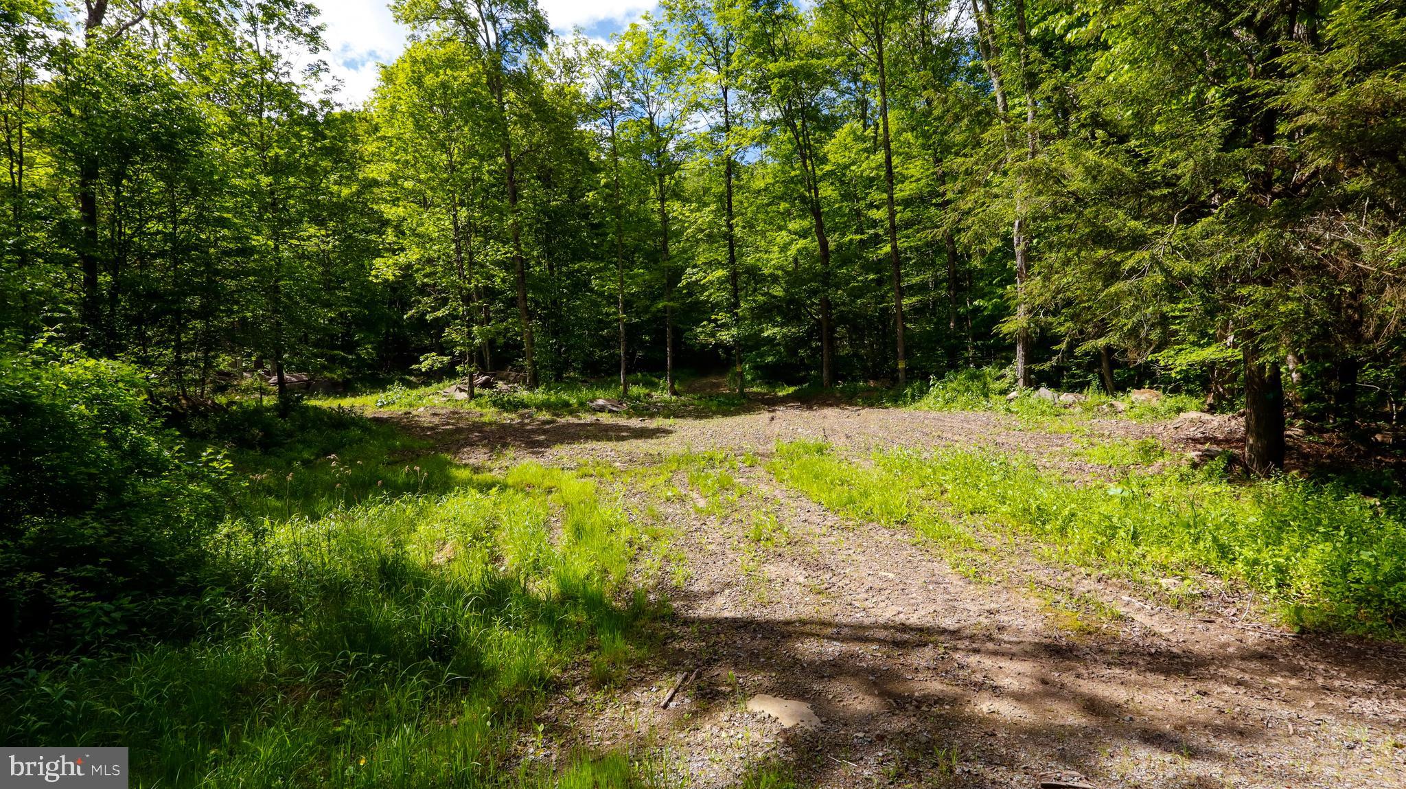 7 Crooked Creek Road Pleasant Mount, PA 18453 - Photo 14 of 42