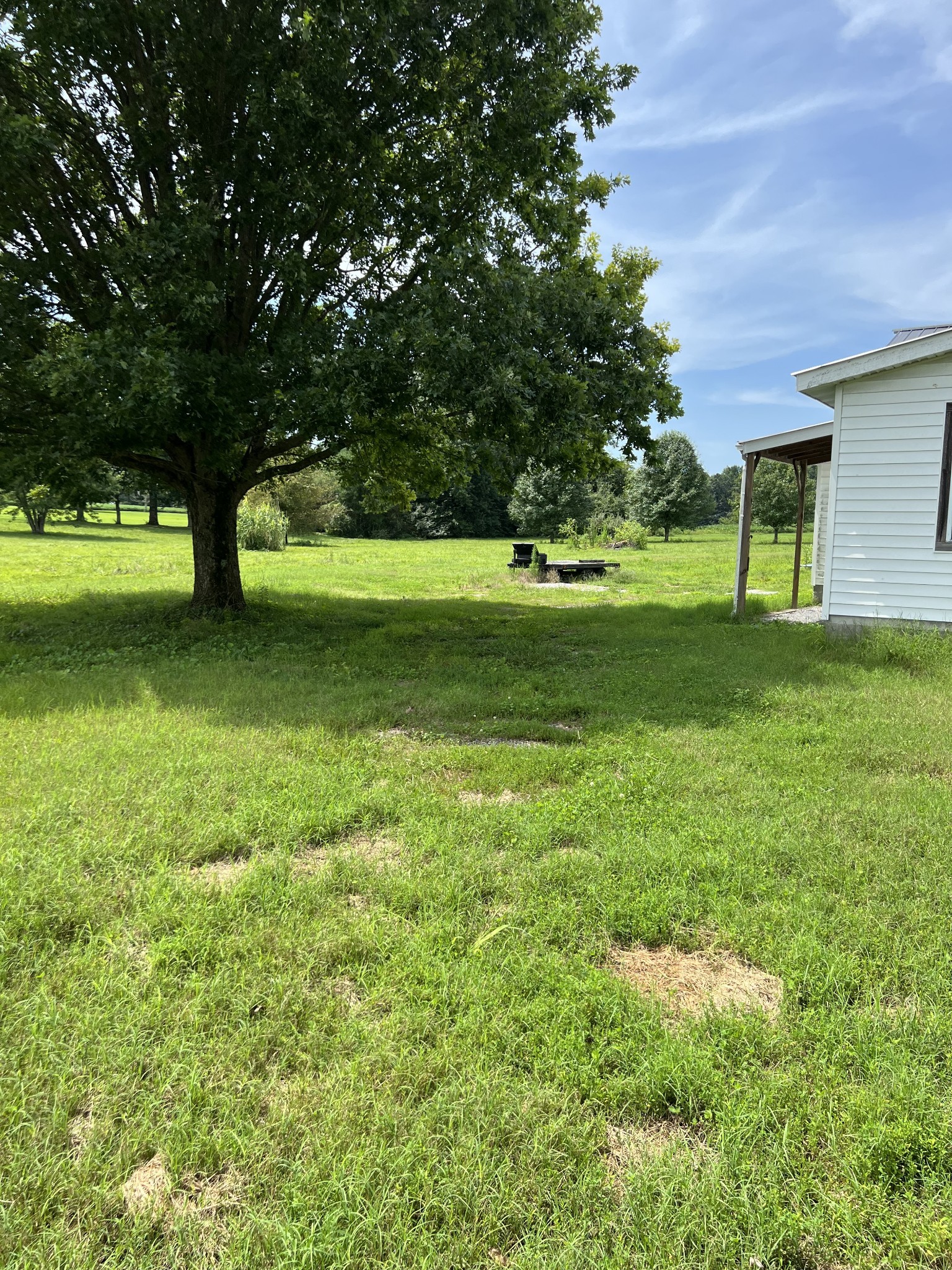 9651 Fredonia Road Manchester, TN 37355 - Photo 3 of 3 a view of backyard with large trees