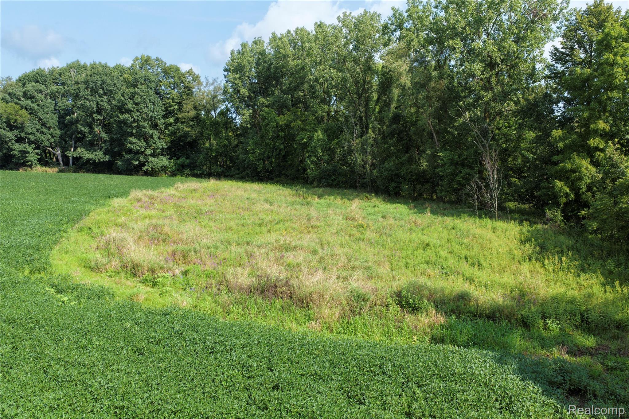 7500 Jonesville Road Allen, MI 49227 - Photo 9 of 12 AllenMI_35Acres_ParcelB_35.jpg