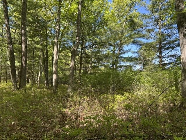 22 Baldwin Resort Road East Tawas, MI 48730 - Photo 15 of 72