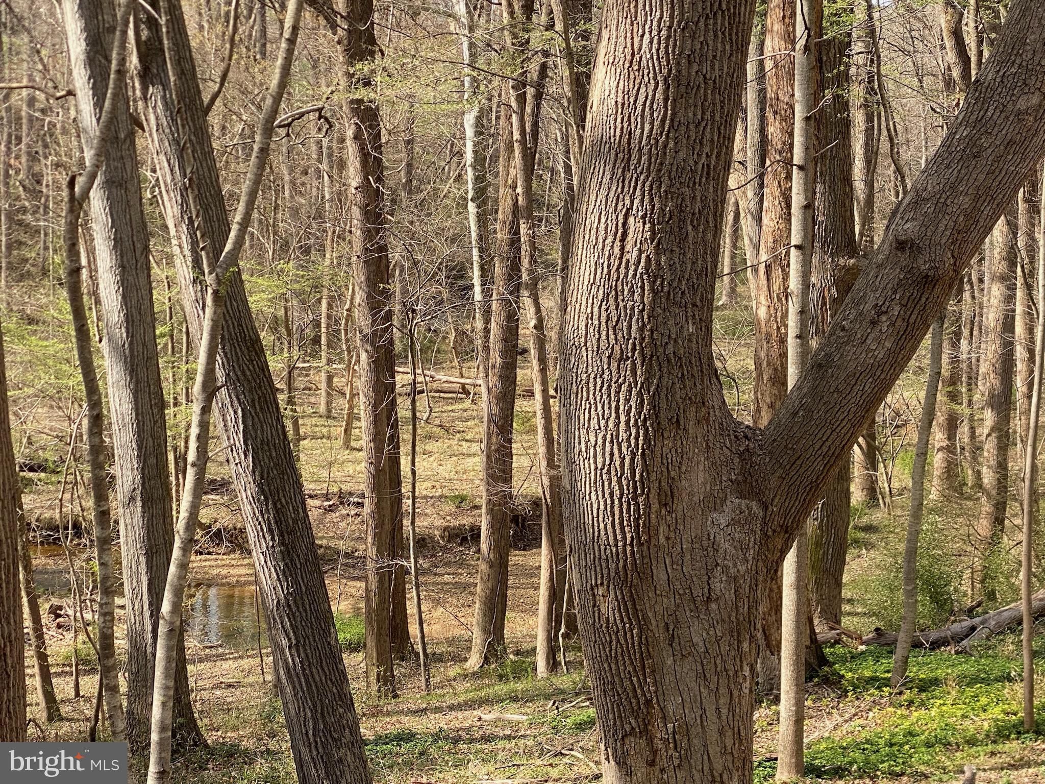 11800 Glen Mill Road Potomac, MD 20854 - Photo 1 of 36 a view of outdoor space and yard