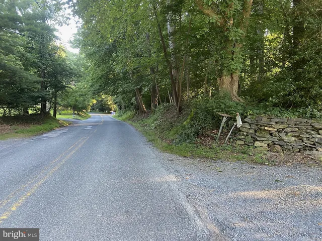a view of a yard with a trees