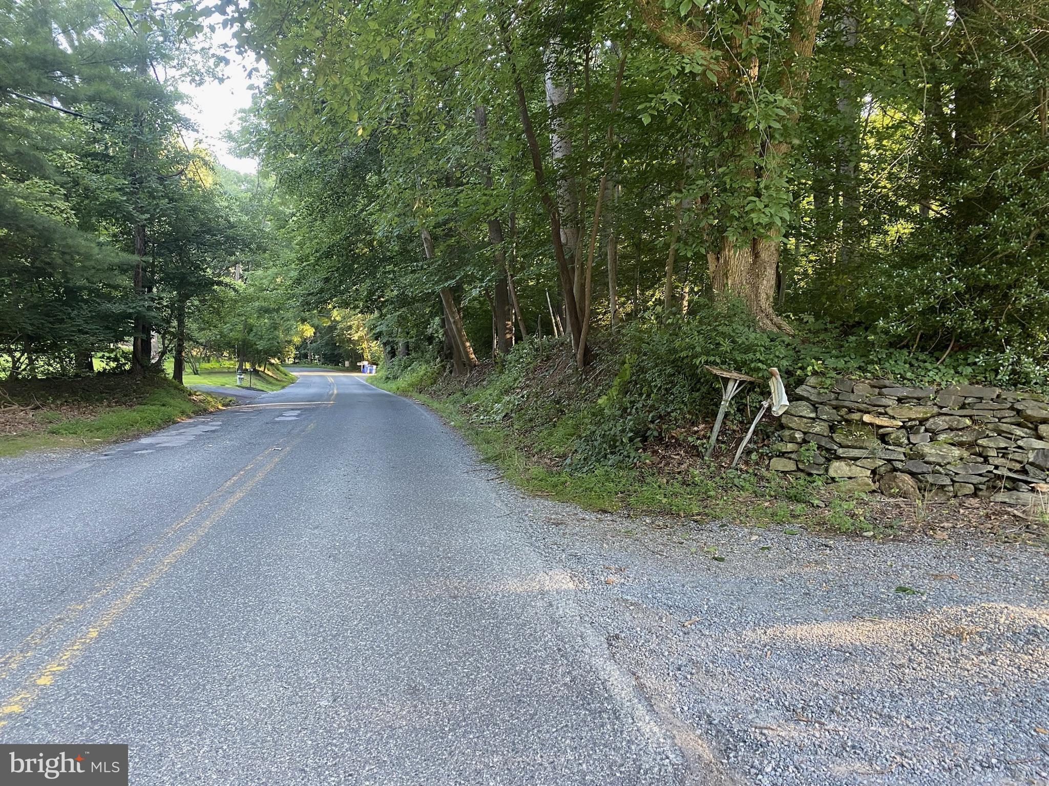 11800 Glen Mill Road Potomac, MD 20854 - Photo 11 of 36 a view of a yard with a trees