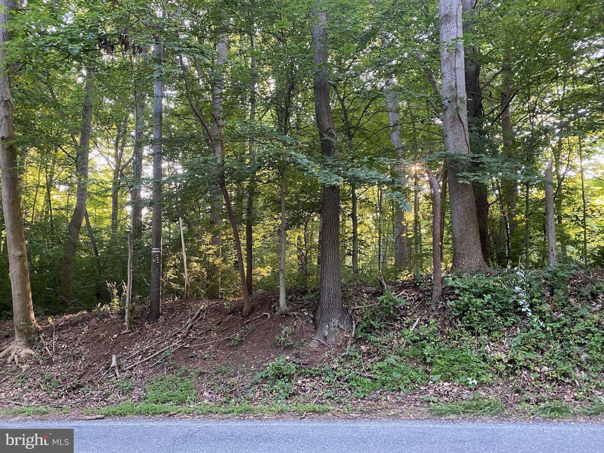11800 Glen Mill Road Potomac, MD 20854 - Photo 12 of 36 a view of outdoor space and garden