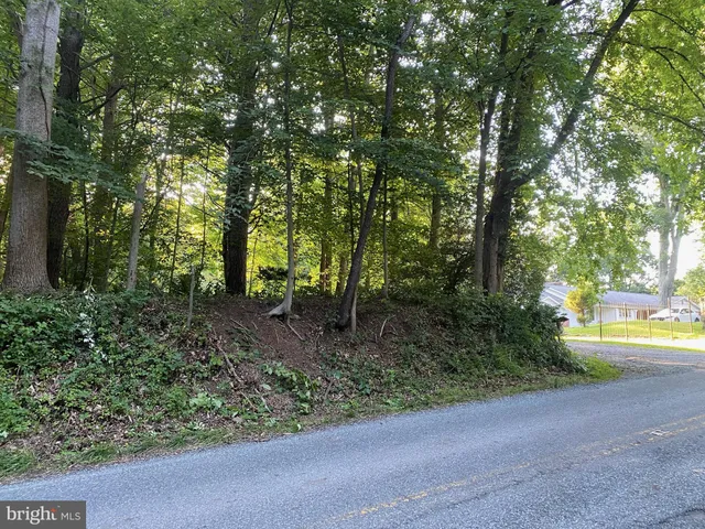 a view of street with trees in background
