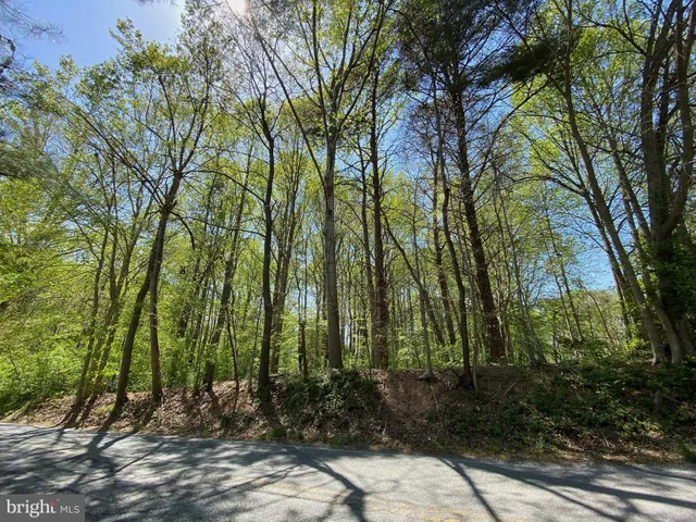a view of backyard with green space