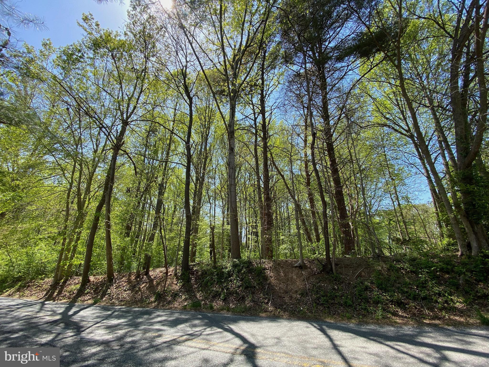 11800 Glen Mill Road Potomac, MD 20854 - Photo 14 of 36 a view of backyard with green space