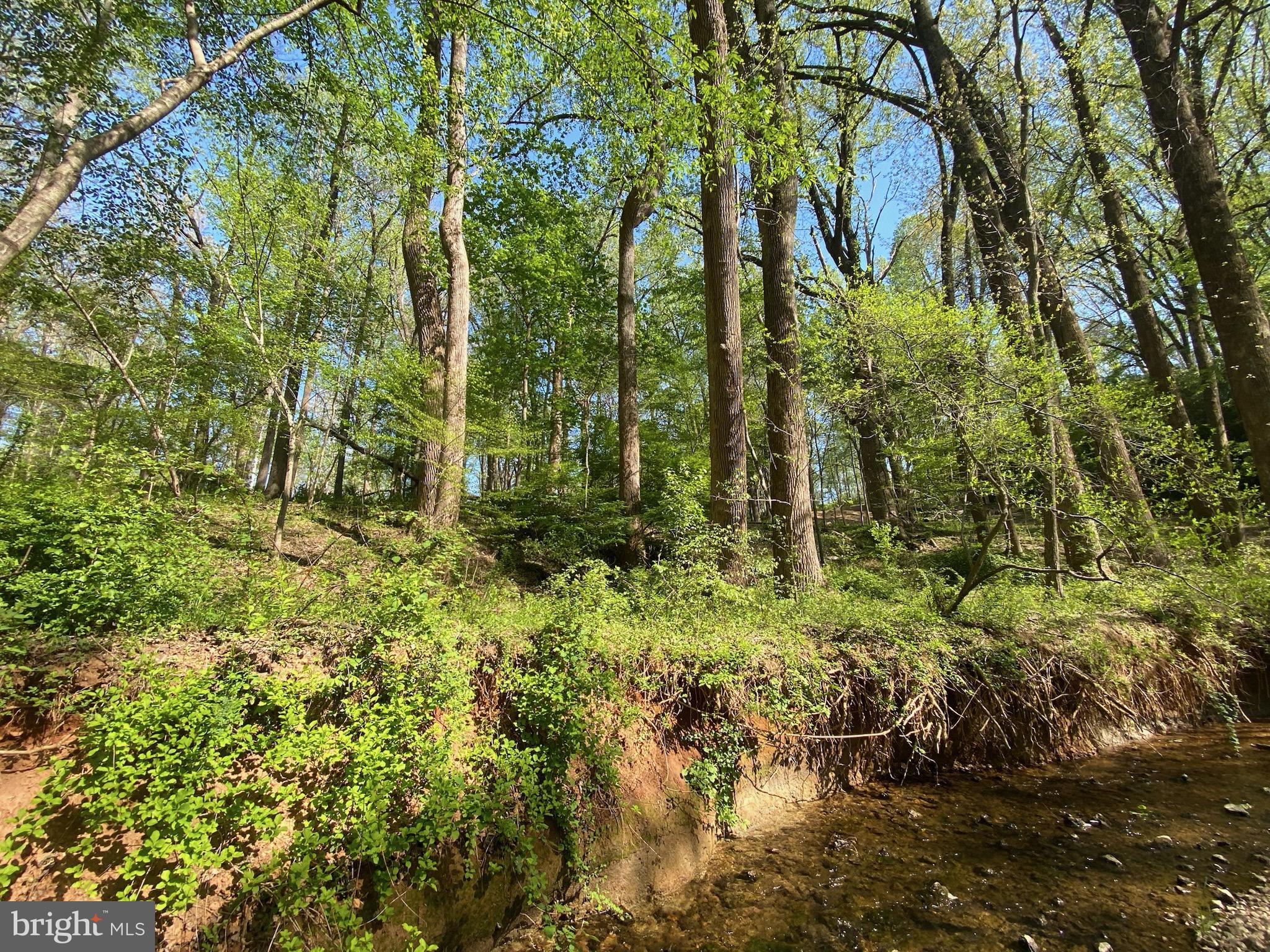 11800 Glen Mill Road Potomac, MD 20854 - Photo 17 of 36 a view of a garden
