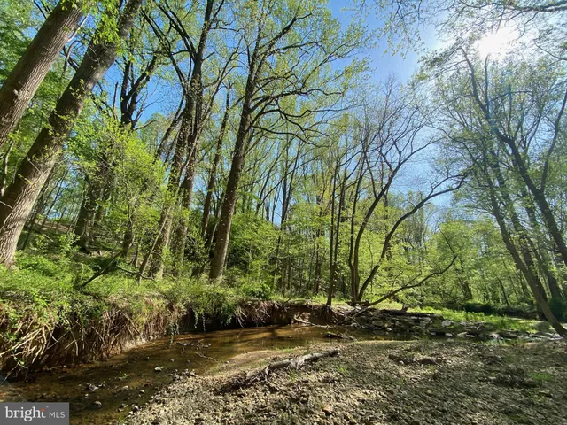 a view of backyard space
