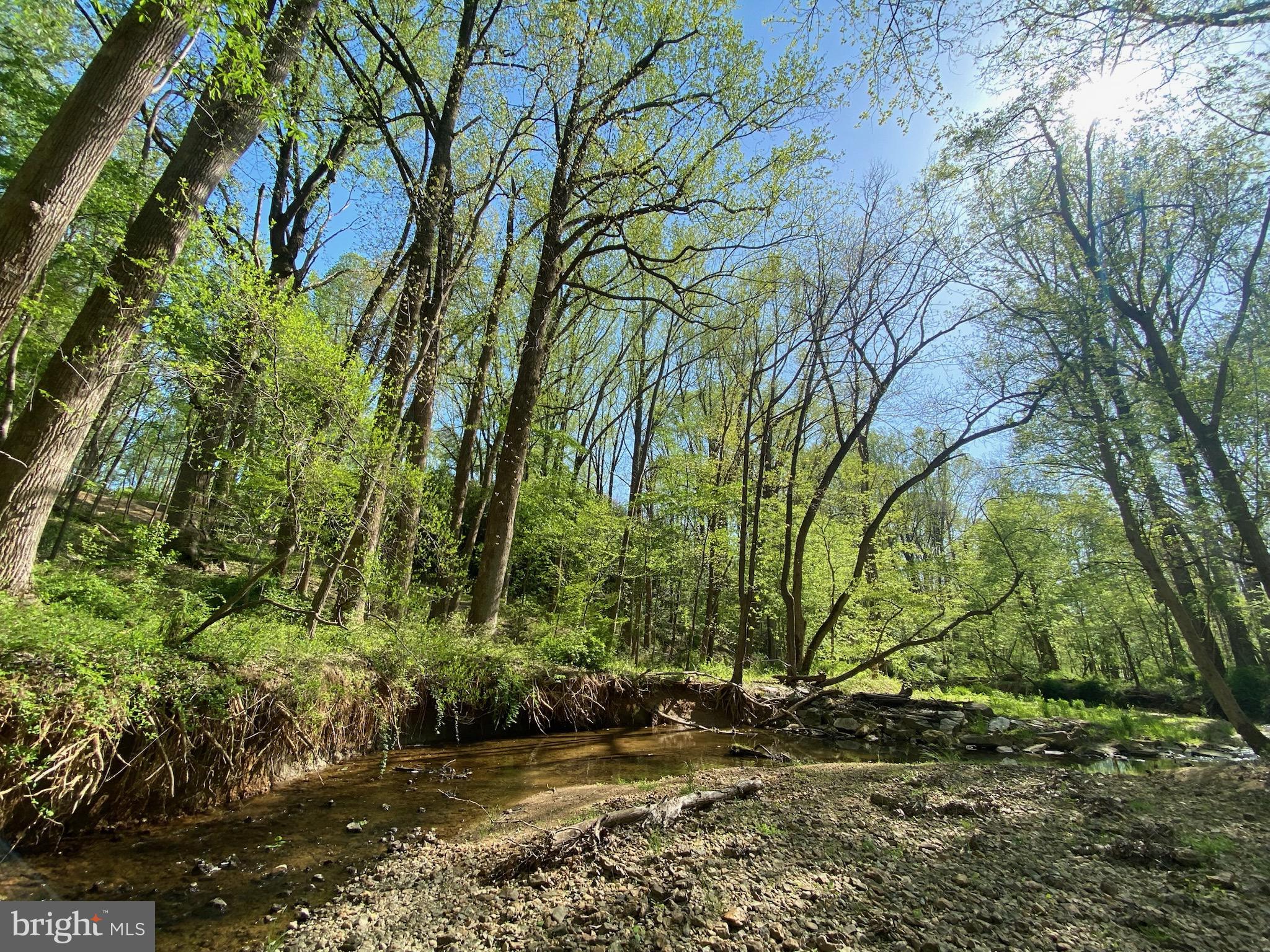 11800 Glen Mill Road Potomac, MD 20854 - Photo 18 of 36 a view of backyard space