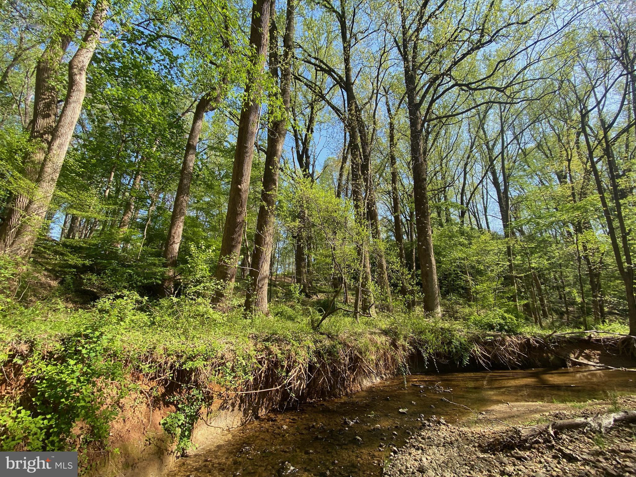 11800 Glen Mill Road Potomac, MD 20854 - Photo 19 of 36 a backyard of a house with lots of green space