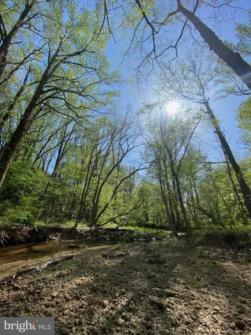 a view of a yard with plants and trees