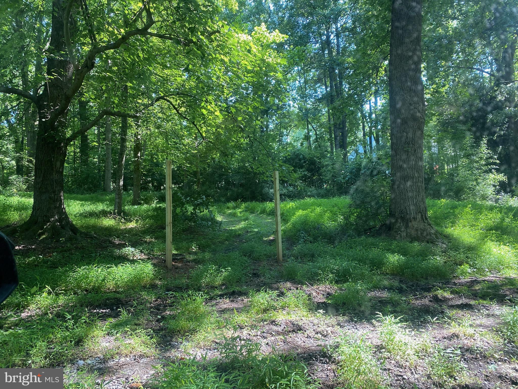 11800 Glen Mill Road Potomac, MD 20854 - Photo 21 of 36 a view of a green field with lots of trees