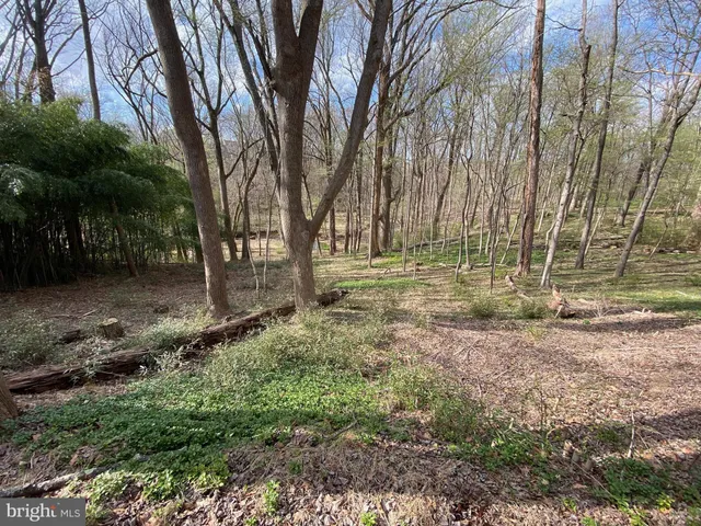 a view of backyard with green space