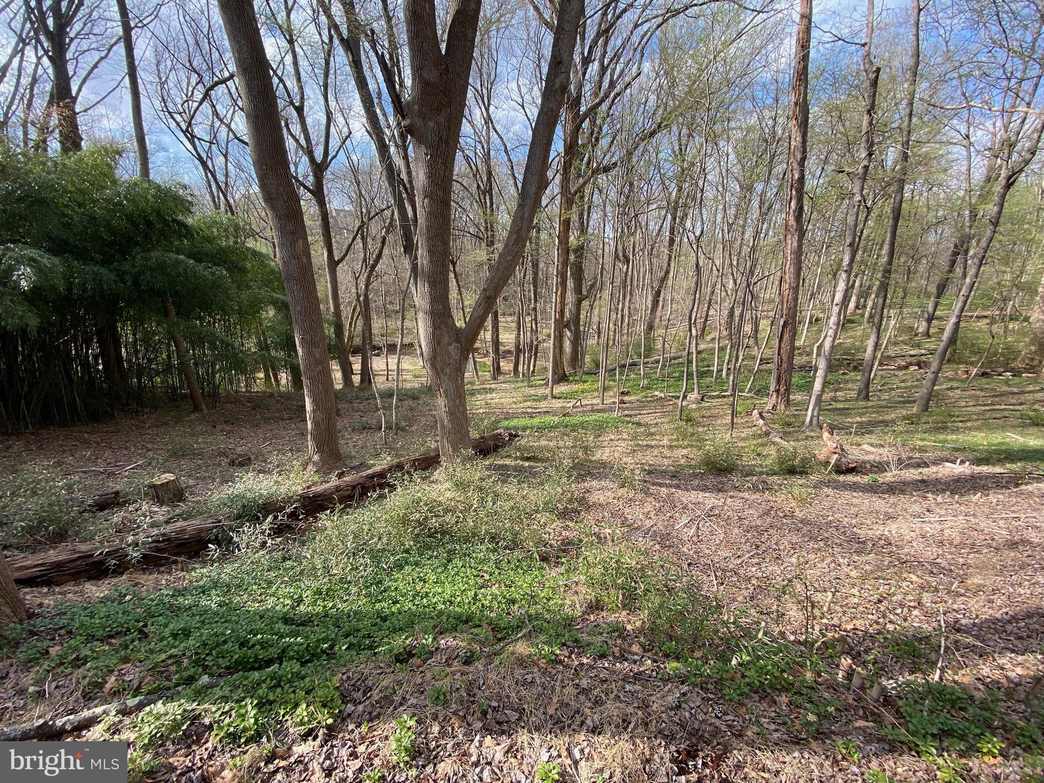 11800 Glen Mill Road Potomac, MD 20854 - Photo 22 of 36 a view of backyard with green space