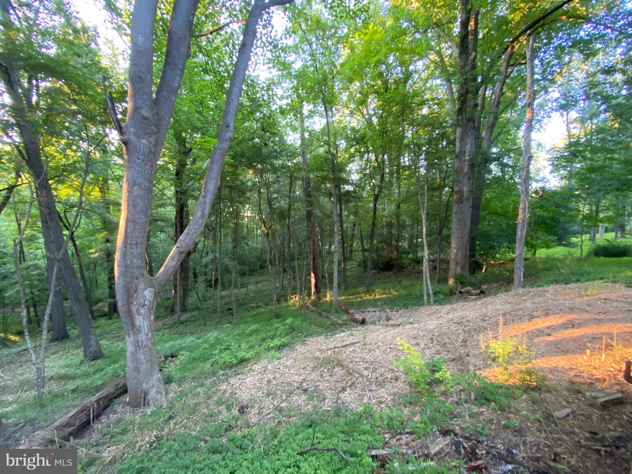 11800 Glen Mill Road Potomac, MD 20854 - Photo 23 of 36 a backyard of a house with lots of green space