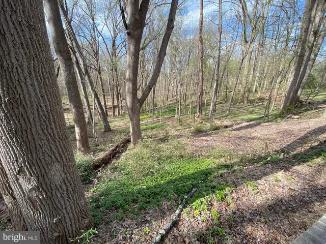 a view of backyard with green space