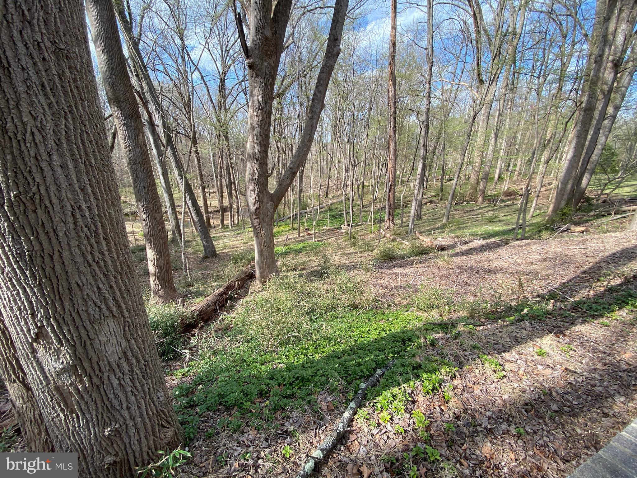 11800 Glen Mill Road Potomac, MD 20854 - Photo 25 of 36 a view of backyard with green space
