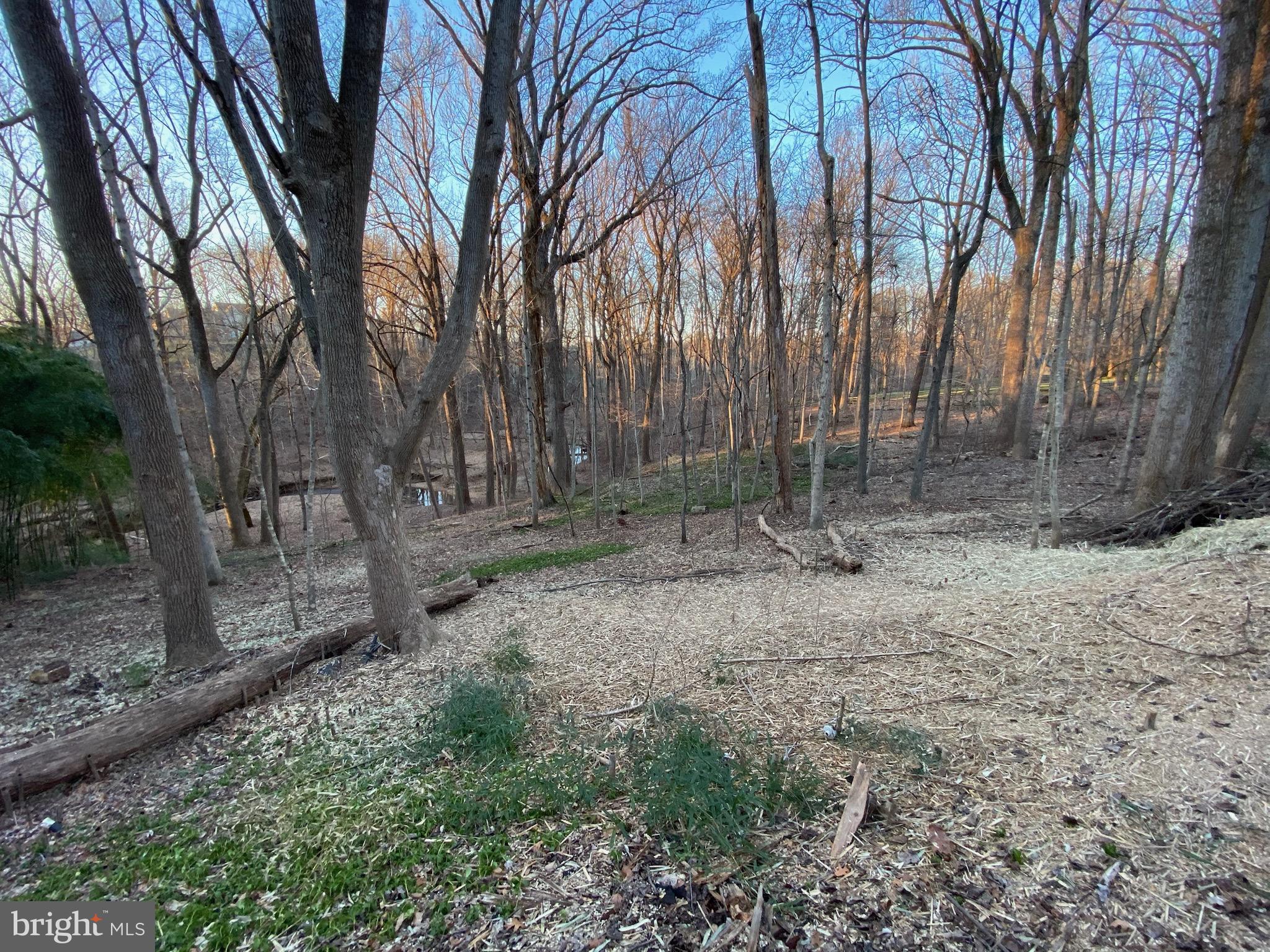 11800 Glen Mill Road Potomac, MD 20854 - Photo 26 of 36 a backyard of a house with lots of green space