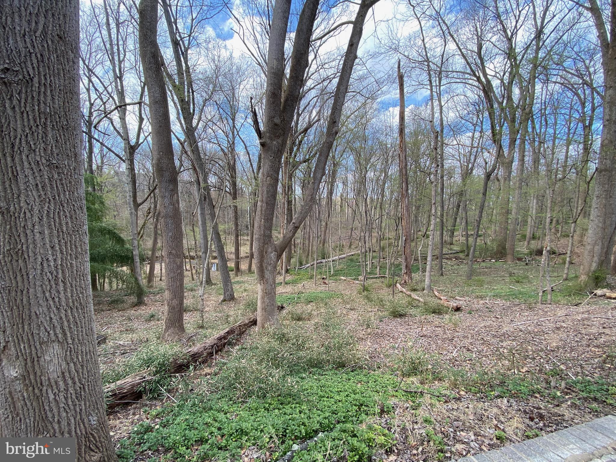 11800 Glen Mill Road Potomac, MD 20854 - Photo 27 of 36 a backyard of a house with lots of green space