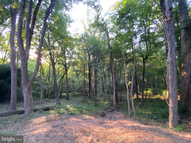 a backyard of a house with lots of trees