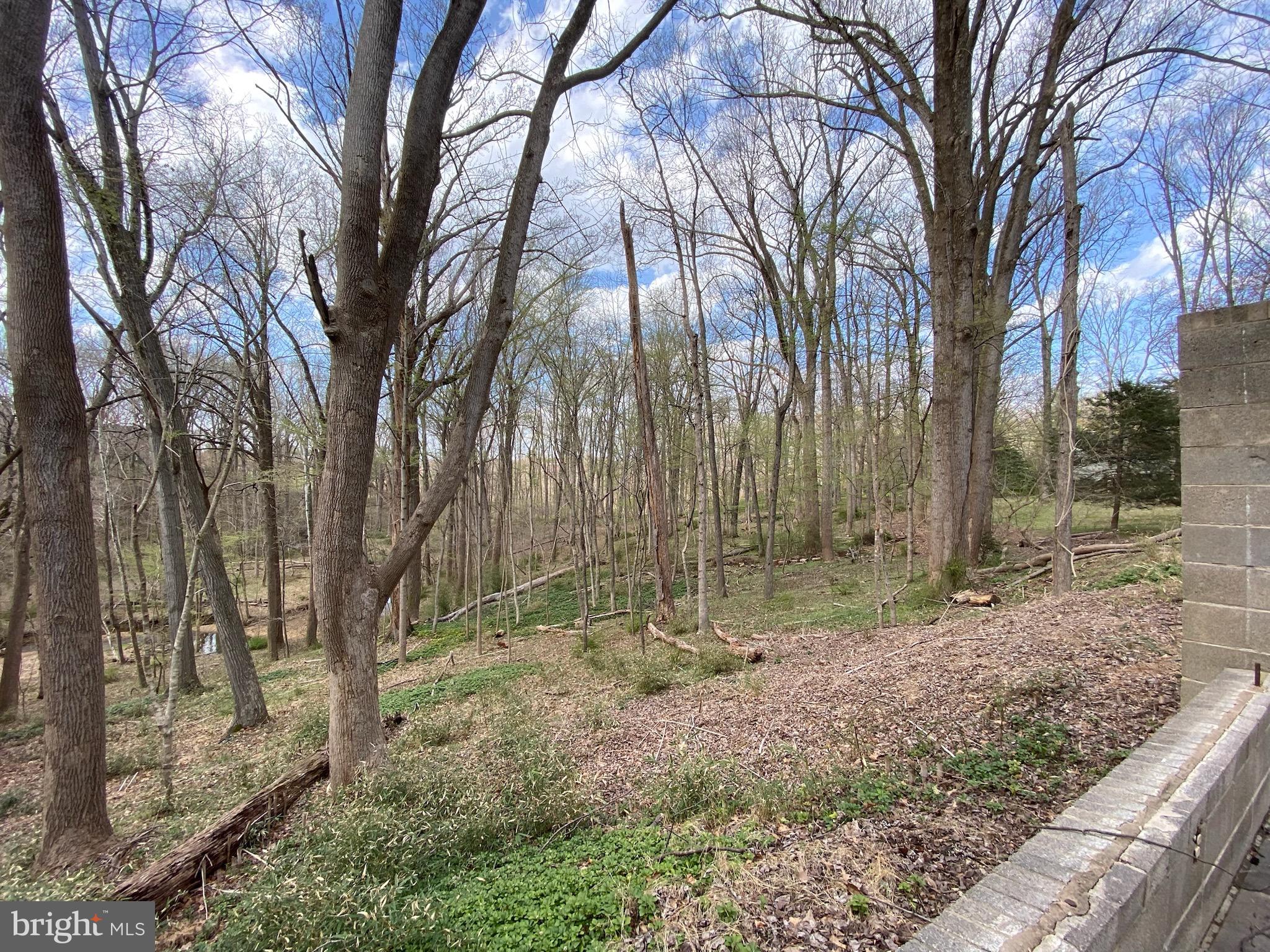 11800 Glen Mill Road Potomac, MD 20854 - Photo 30 of 36 a backyard of a house with lots of green space