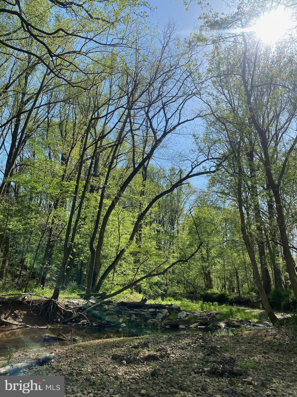 11800 Glen Mill Road Potomac, MD 20854 - Photo 3 of 36 a backyard of a house with lots of green space