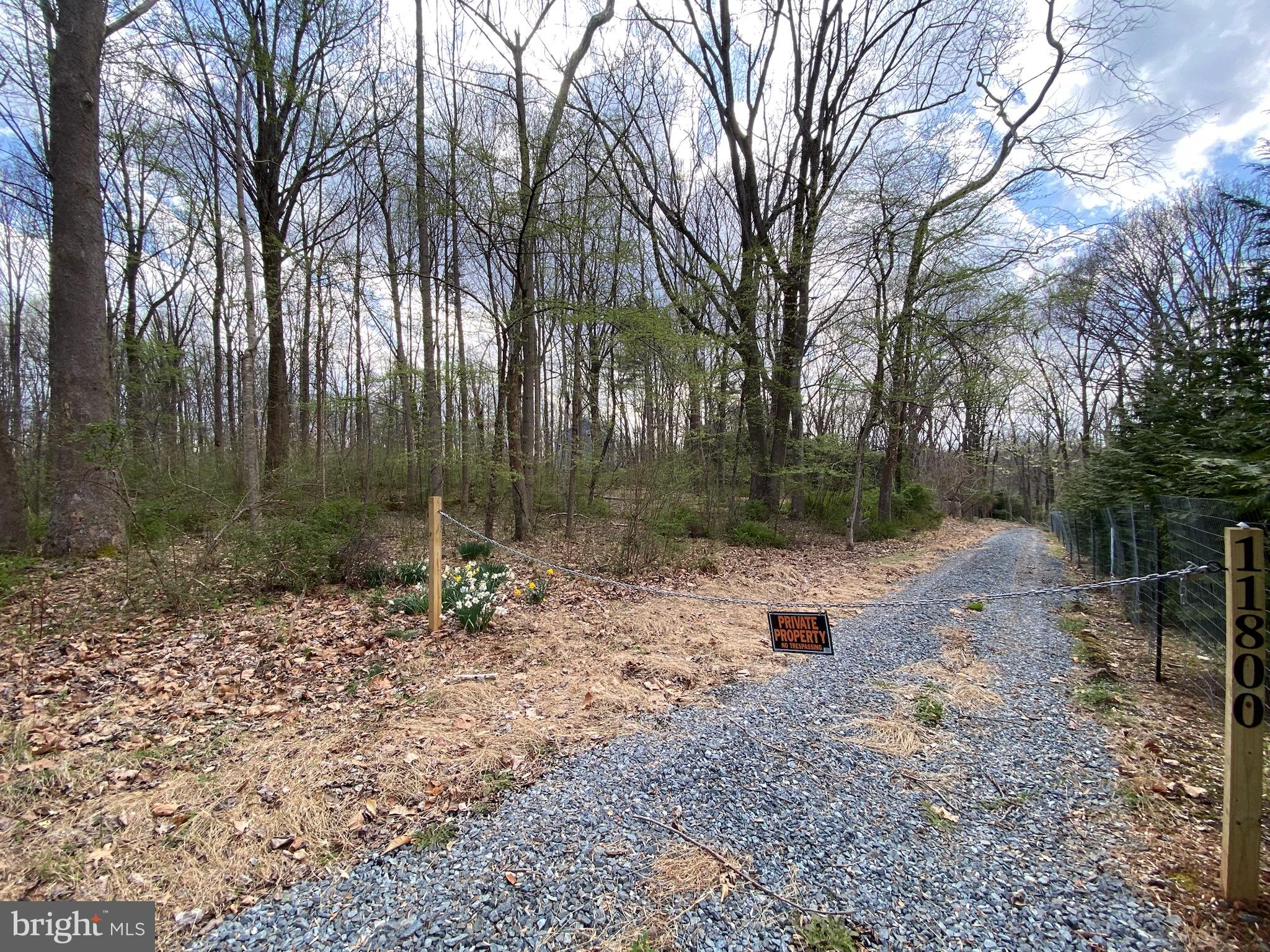 11800 Glen Mill Road Potomac, MD 20854 - Photo 5 of 36 a backyard of a house with lots of green space