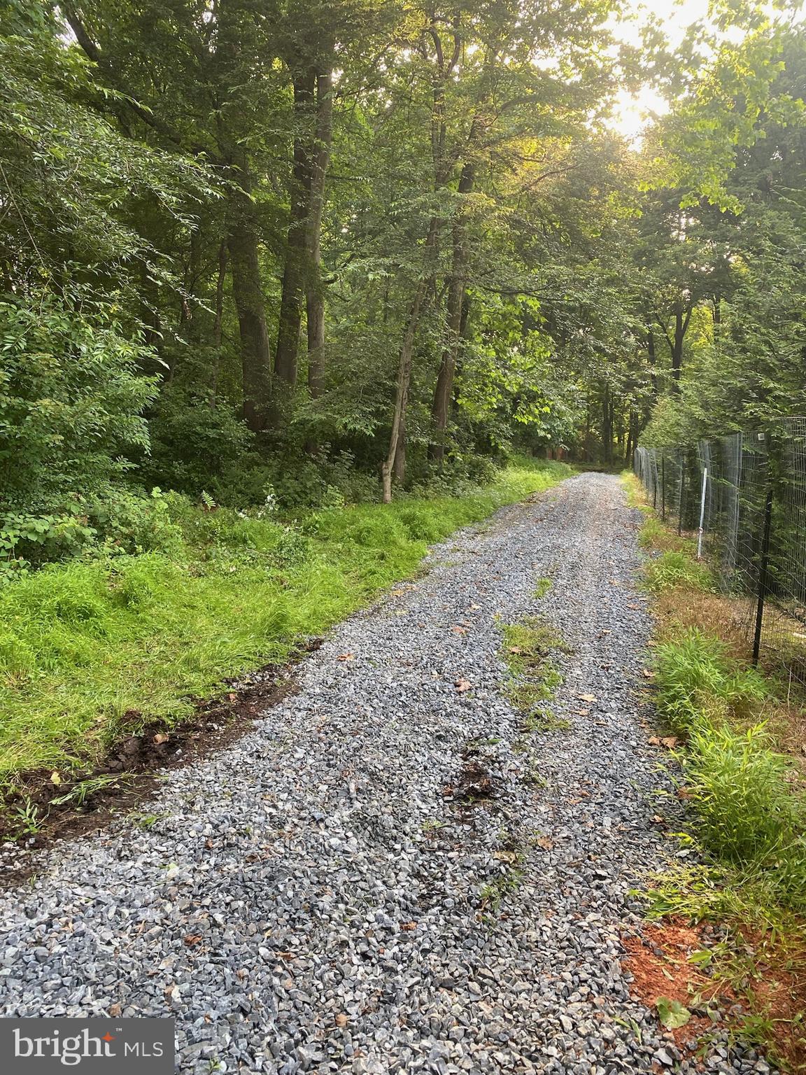 11800 Glen Mill Road Potomac, MD 20854 - Photo 6 of 36 a view of a yard with a tree