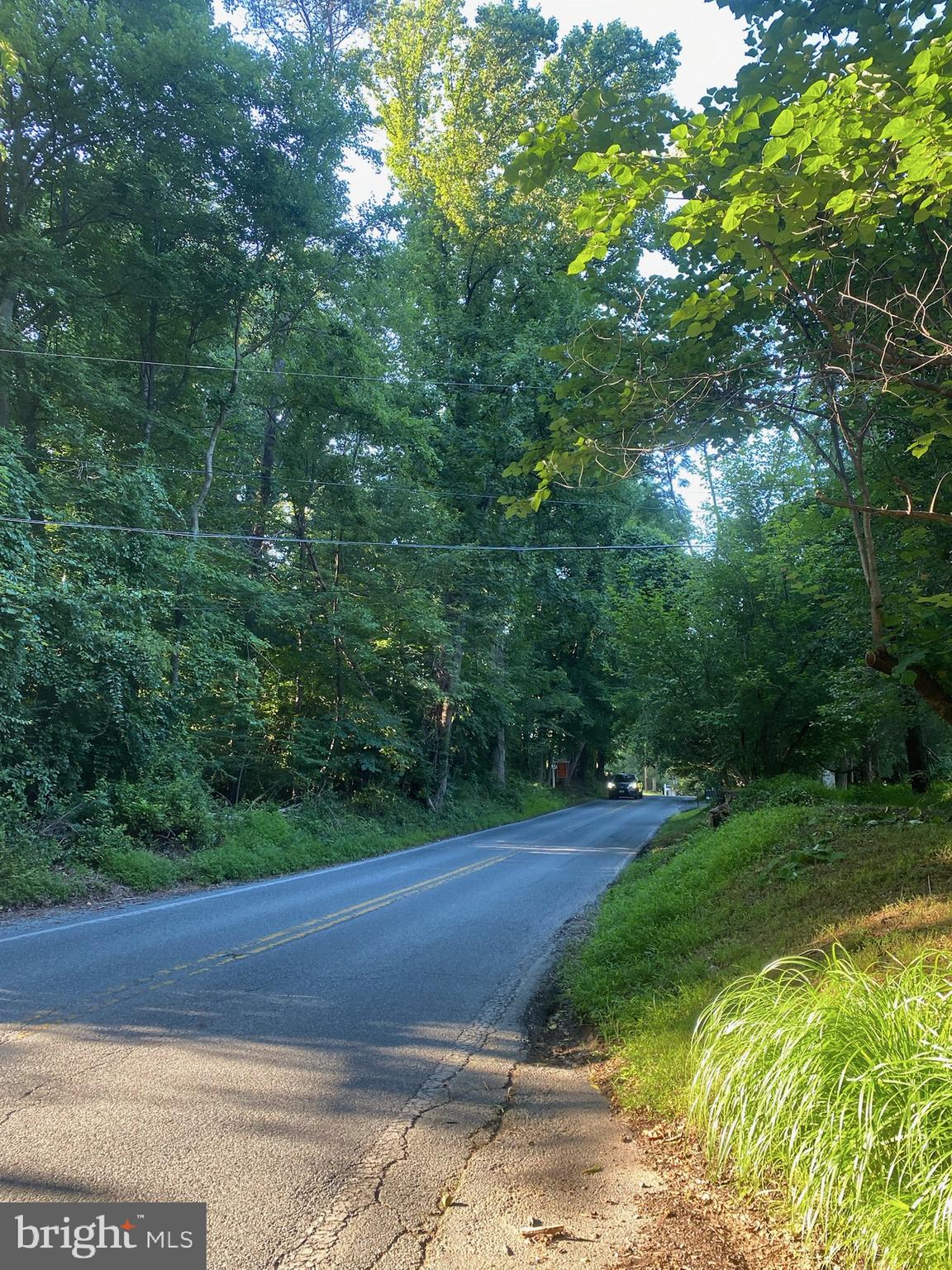 11800 Glen Mill Road Potomac, MD 20854 - Photo 9 of 36 a big yard with lots of green space