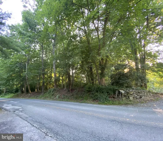 a view of a field with trees in the background