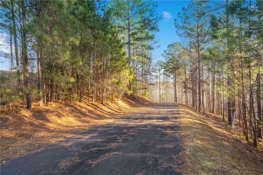 76 Eagle Ridge Way Salem, SC 29676 - Photo 1 of 19 Private estate like entry