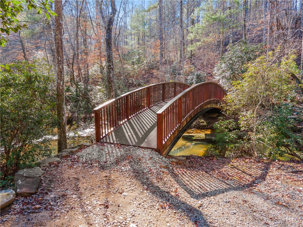 76 Eagle Ridge Way Salem, SC 29676 - Photo 15 of 19 Ready to hike?