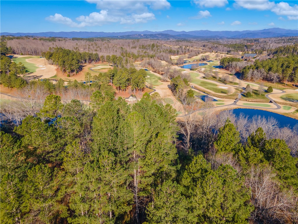 76 Eagle Ridge Way Salem, SC 29676 - Photo 10 of 19 High above the home sites and the mature trees