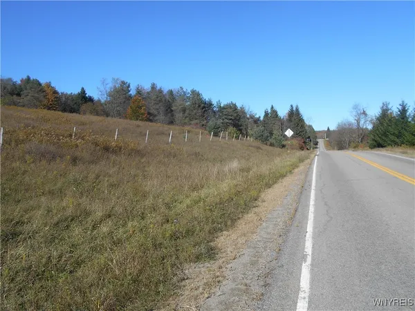 $32,500 | 4738 Roszyk Hill Road, Machias, NY 14101