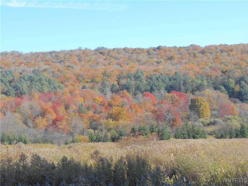 4738 Roszyk Hill Road Machias, NY 14101 - Photo 11 of 15